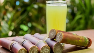 Guarapo de Caña: El Refresco Tradicional Llanero - Notiapure
