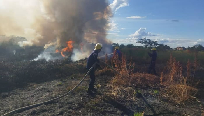Incendio en la Vegetación del Aeropuerto de San Fernando