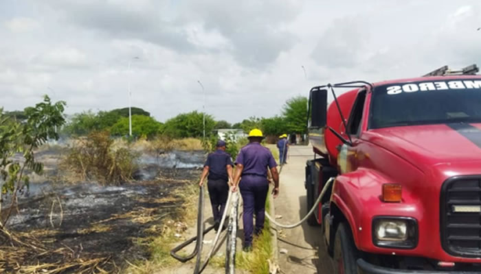 Bomberos asisten Incendio de vegetación media en el paseo Las Flecheras
