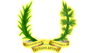 Escudo del Estado Apure: Símbolos, Significado e Historia - Notiapure