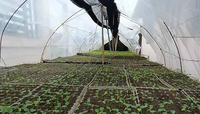 Agrourbana de Biruaca