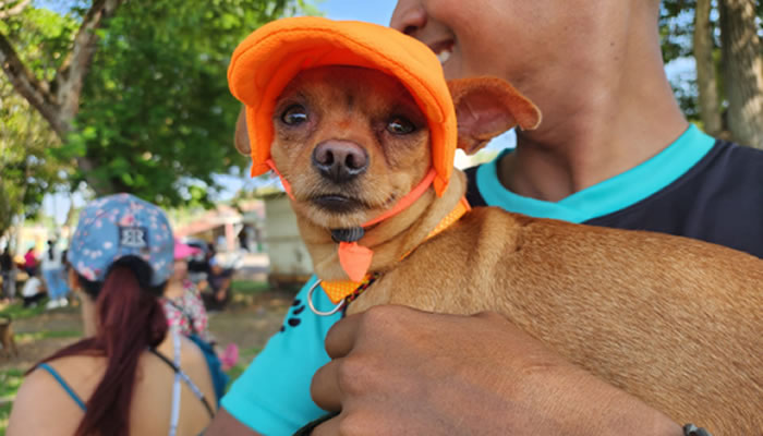 Primera Caminata Canina en Guasdualito: Un Éxito de Solidaridad y Amor Animal