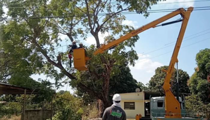 Plan Pica y Poda Beneficia a Más de 8 Mil Apureños con Mejoras en el Servicio Eléctrico