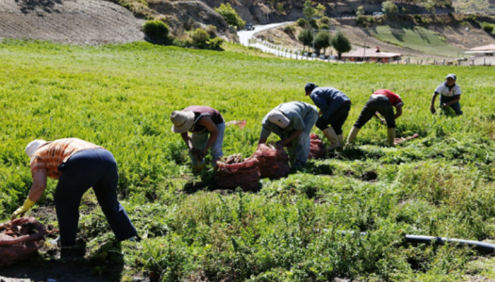 Apure será sede de taller para fortalecer la producción agrícola comunitaria