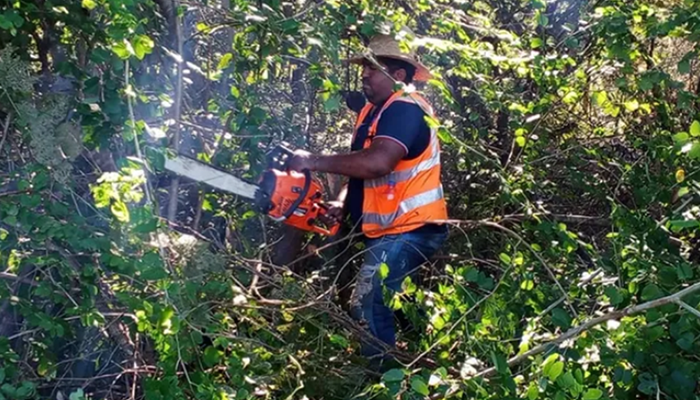 Gobernación de Apure ejecuta labores de limpieza y desmalezamiento en la Troncal 19 para garantizar vialidad segura en Mantecal