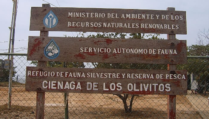 La Ciénaga de Los Olivitos