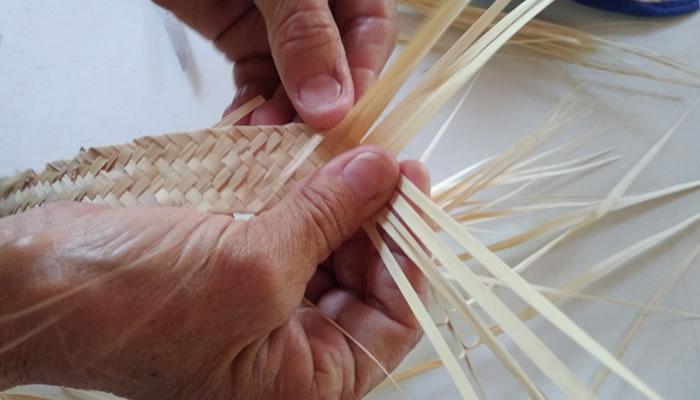La Palma Llanera es Cultura