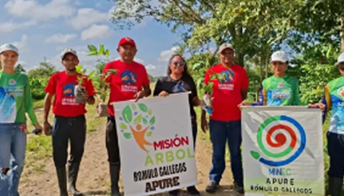 Jornada de reforestación en Santa Amelia siembra 530 árboles para recuperar la cuenca del río Arauca