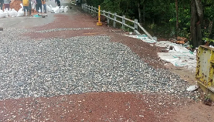 Nueva falla estructural obliga al cierre temporal del Puente La Piedra en Apure