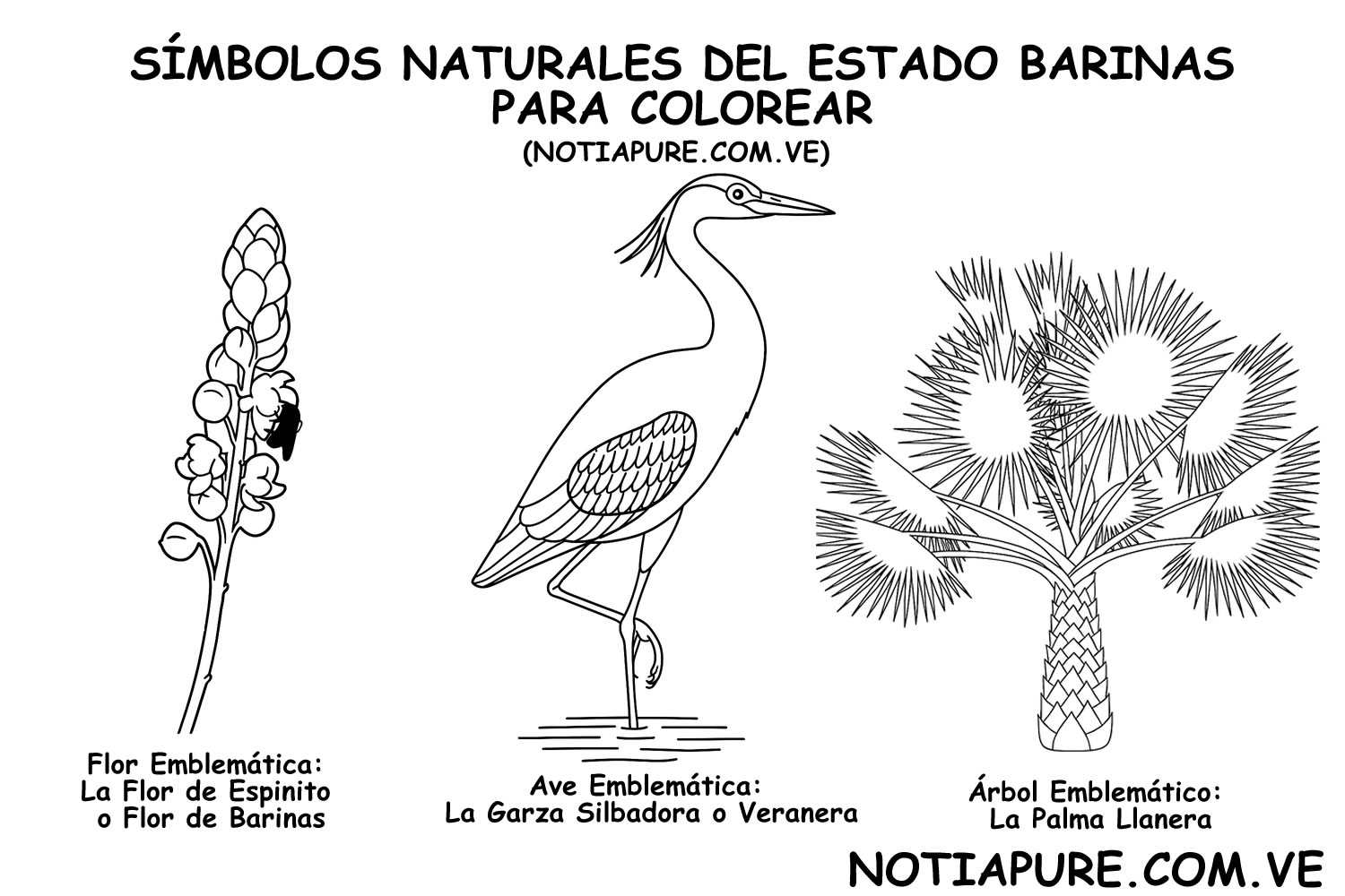 Simbolos naturales de Barinas para colorear