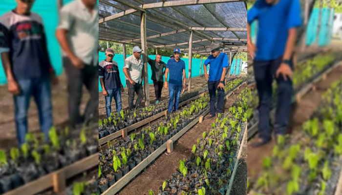 Gobernador de Apure Anuncia Proyecto para Convertir al Estado en Potencia Cacaotera