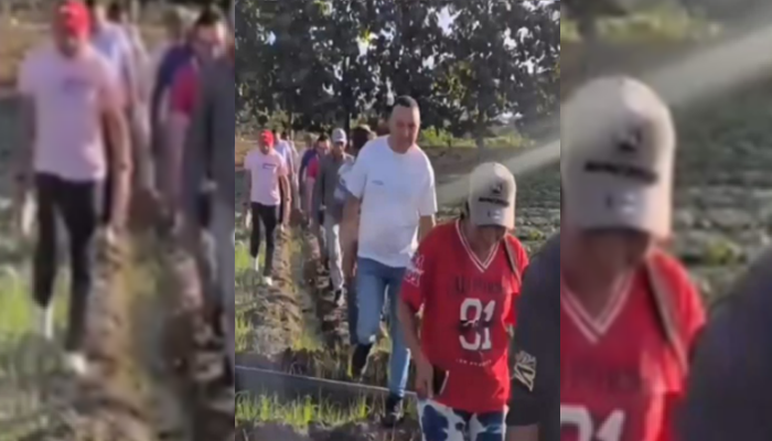Autoridades Apureñas Supervisan Avance de Siembra de Leguminosas en Pedro Camejo