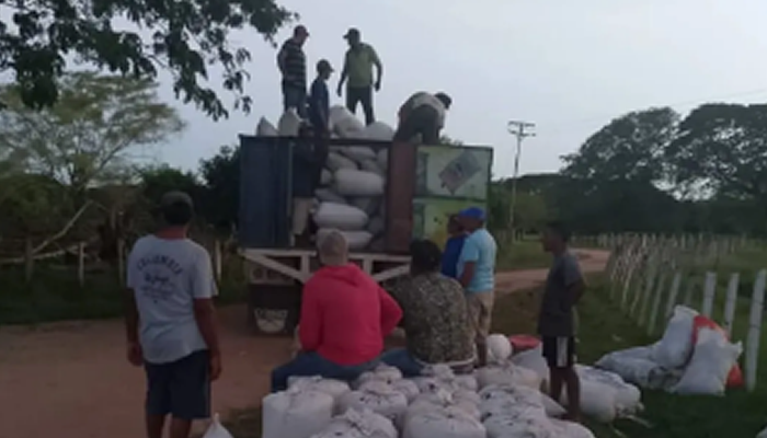 La Fértil Tierra de Apure Sigue Impulsando la Producción Agrícola Nacional