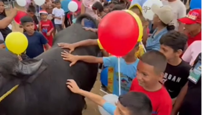Niños y familias conocen al búfalo como símbolo del nuevo modelo productivo de Apure