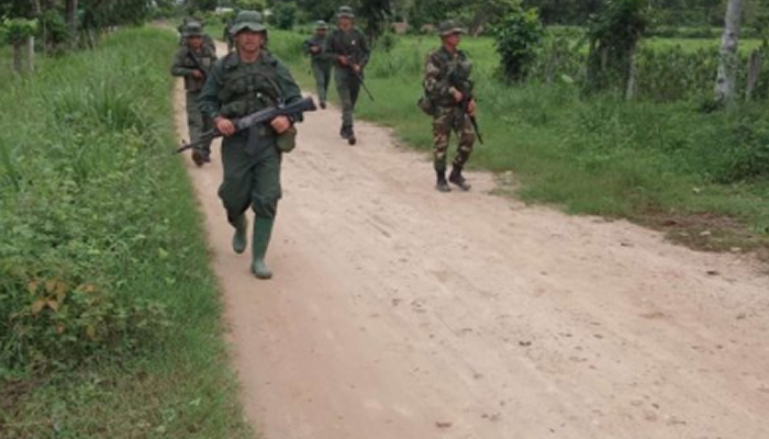 FANB Desmantela Cuatro Narcofincas en Zona Fronteriza del Catatumbo