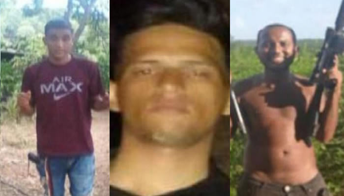 Ejecutan operativo contra estructura criminal "El Fiebre" del Tren del LLano