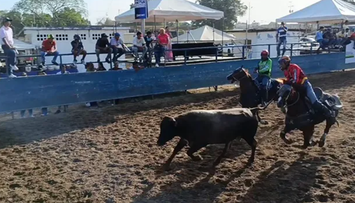 La adrenalina del coleo marca el segundo día de las Fiestas del Alma Llanera en San Fernando