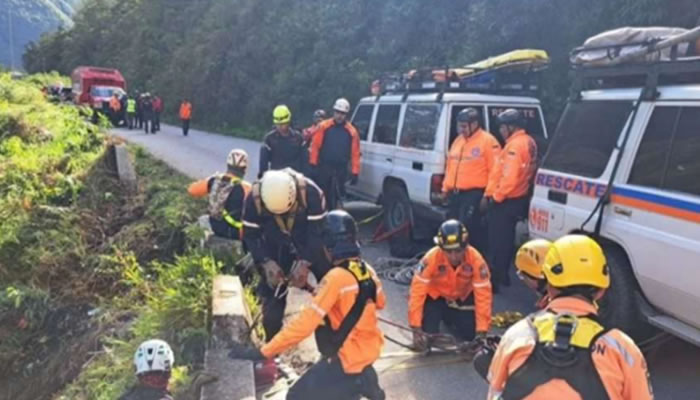 Accidente vial de la Trasandina dejó 12 fallecidos