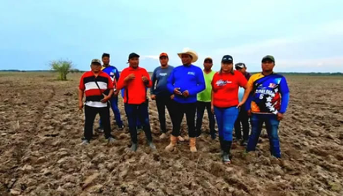 Alcalde de Rómulo Gallegos inspeccionó 30 hectáreas de producción de arroz en la comunidad Mata de Tranquero