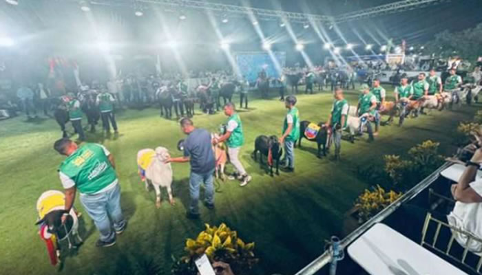 ExpoFeria Bufalina y Caprina 2027 apunta a la innovación con más ganado y tecnología