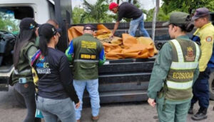 Ministerio De Ecosocialismo Retiene En Barinas 41 Toneladas De Granulado De Caucho Considerado Desecho Peligroso