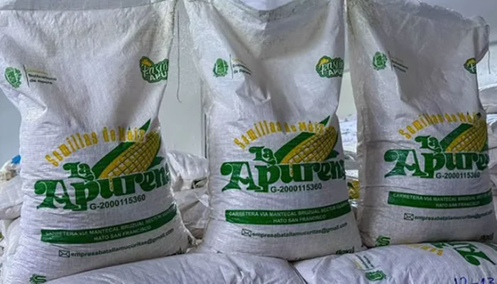 Gobierno de Apure consolida la semilla soberana “La Apureña” certificada por el INIA