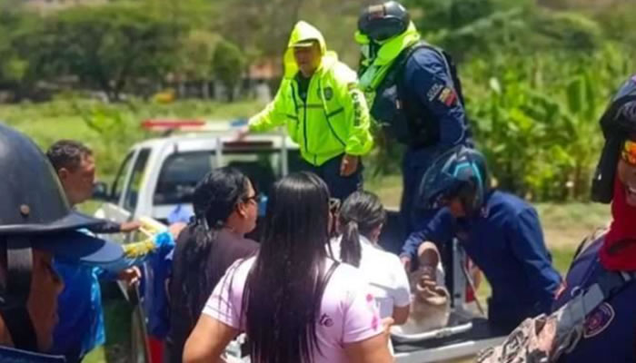 Murió hombre de 59 años tras permanecer una semana internado por ataque de abejas en el estado Aragua