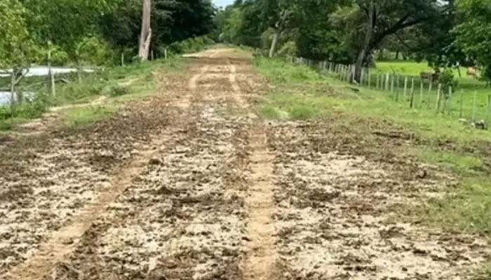 Comisión Técnica Inspeccionó Vialidad Rural En Parroquias Bruzual Y San Vicente Por Daños Estructurales
