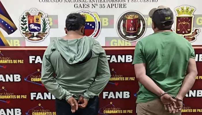 GAES N° 35 Apure Recuperó 16 Semovientes Búfalas En Municipio Pedro Camejo