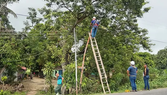 Corpoelec Ejecutó Mantenimiento Preventivo En Circuito San Luis Para Garantizar Estabilidad Eléctrica