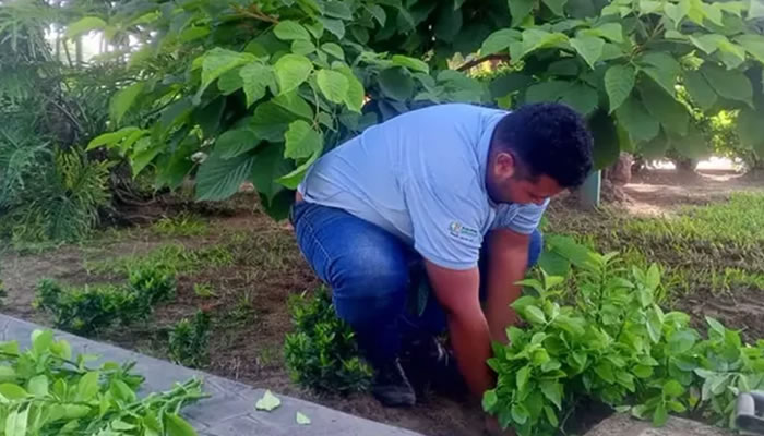 Cuadrillas de Servicios Generales embellecen la Avenida Simón Bolívar y Plaza Bolívar de Biruaca