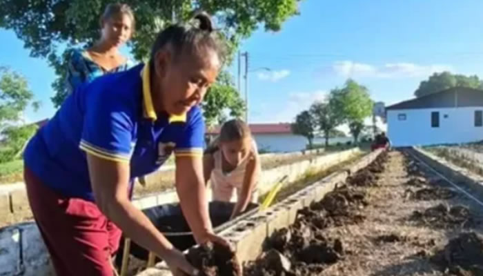 Centro Indio Alegre Impulsa Producción Agroecológica Con Jornada De Siembra Y Compostaje En Elorza