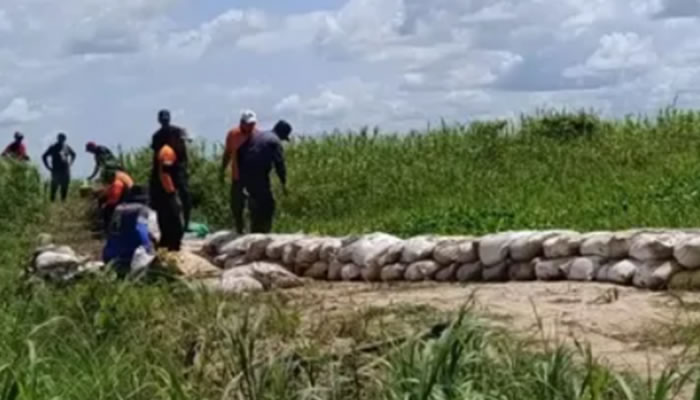 Protección Civil De Biruaca Refuerza Defensas En Sector La Gutierreña Ante Temporada De Lluvias
