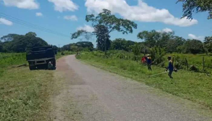 Comuna Bravos De Apure Ejecuta Plan De Desmalezamiento, Limpieza Y Fumigación En Achaguas