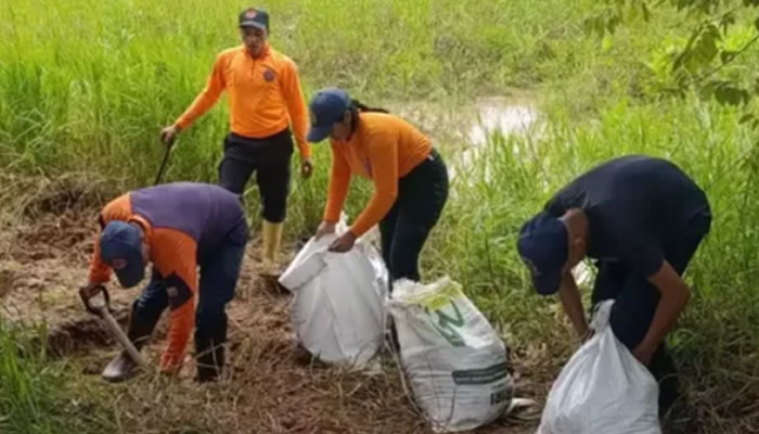 Protección Civil De Biruaca Refuerza Muro De Contención En Paso Real La Guamita Ante Temporada De Lluvias