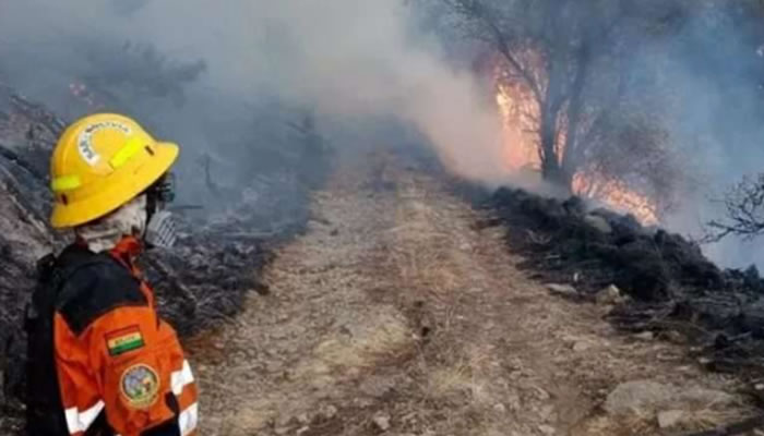 Bolivia Declara Desastre En San Lorenzo Por Avance Incontrolable De Incendios Forestales