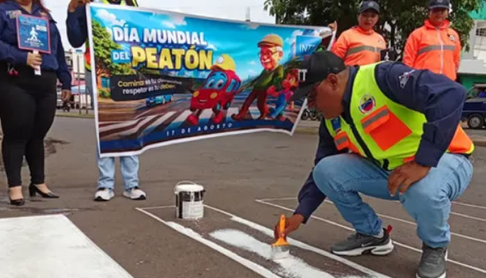 INTT Y PNB Desplegaron Jornada De Concienciación Vial En San Fernando Por El Día Mundial Del Peatón