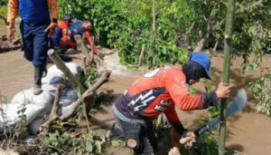 Protección Civil Y Alcaldía De Rómulo Gallegos Ejecutan Labores De Mitigación En Zonas Vulnerables Del Río Arauca