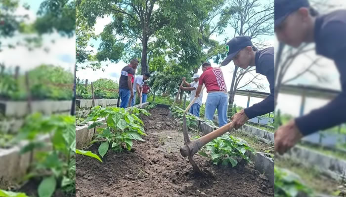 Centro Indígena Indio Alegre consolida modelo agroecológico para fortalecer la soberanía alimentaria en Elorza