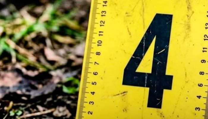 Cicpc detiene a hermanos que asesinaron a un amigo por no invitarlos a beber en Yaracuy