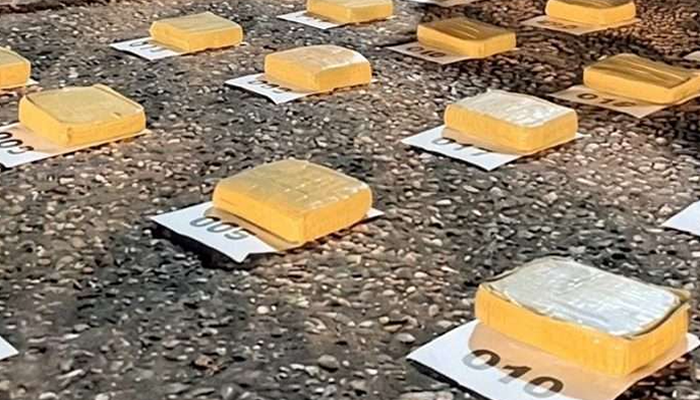 "Apolo" detectó en Apure 21 kilos de marihuana ocultos en el tanque de una camioneta