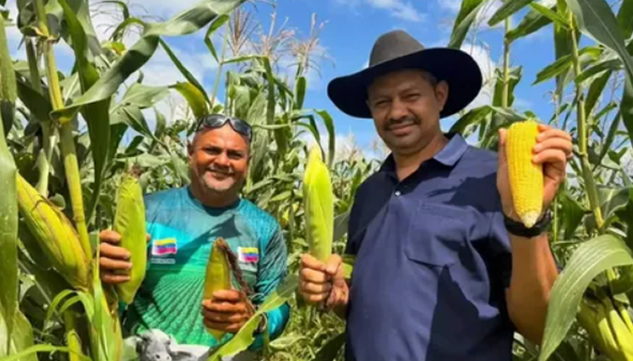 Increa respalda a más de mil productores con el Plan de Siembra de Maíz en Apure