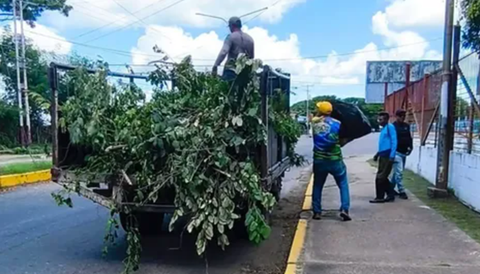 Alcaldía de San Fernando despliega mantenimiento integral en la Avenida Primero de Mayo
