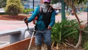 Alcaldía de San Fernando ejecuta jornada integral de mantenimiento en el Paseo Libertador