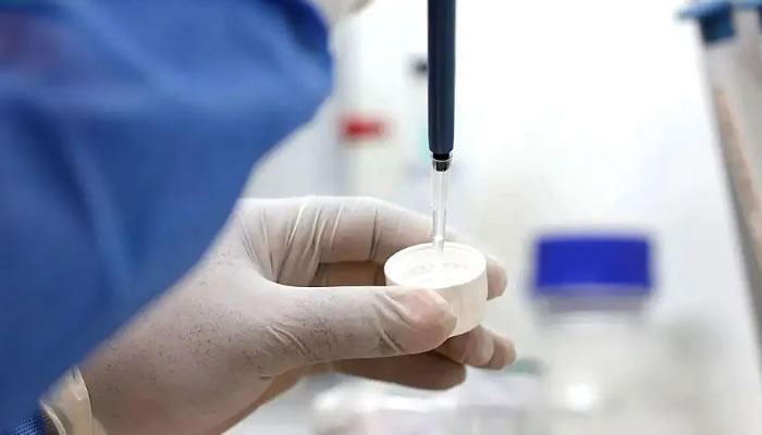 OMS califica de «muy bajo» el riesgo sanitario para Europa por presunto caso de peste neumónica en Rusia