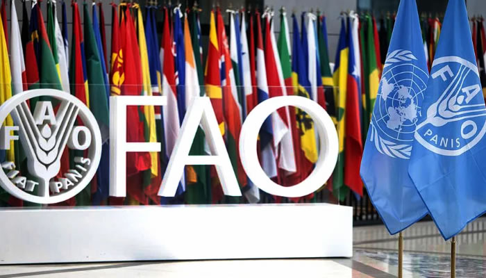 FAO confirma intervención de Delcy Rodríguez en la inauguración de la cumbre alimentaria en Roma