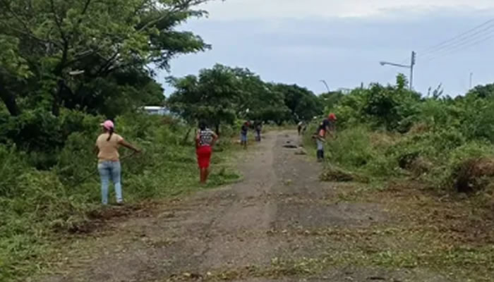 Limpieza y despeje de vegetación mejoran el tránsito en el tramo carretero Costa Arauca - María Franco