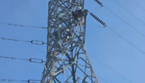 Falla atmosférica provoca ruptura de línea eléctrica en Puerto Páez sin dejar daños materiales ni personas lesionadas
